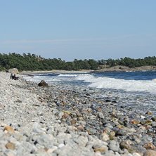 Foto: Daniel Skilberg.