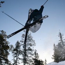 Mute i skogen. Foto: alle. &Aring;kare: Axel arvidsson.