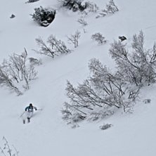 Foto: Felix Grunert. &Aring;kare: Patrik Hammarlund/Rikard Lindblad.
