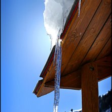 Foto: Sanna Carlsson.