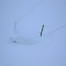 Foto: Oscar Blomqvist. &Aring;kare: Erik Blomqvist.