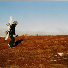 V&aring;rsol och renar. Foto: Jonas Eriksson. &Aring;kare: Johan &Aring;hlander.