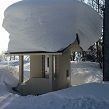 2015-02-02
Det kom n&auml;stan tv&aring; meter den h&auml;r ve.