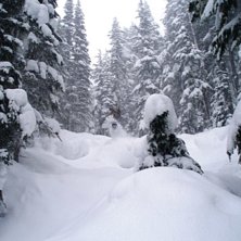 Foto: My Svensson. &Aring;kare: Jonas Ahlsson.