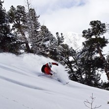 Foto: Adam Jonsson. &Aring;kare: Robin Ljungqwist.
