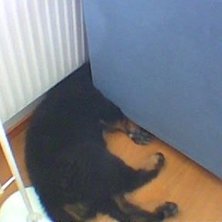 Foto: Mattias Jonasson.