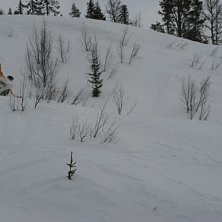 Foto: Bengt Johansson. &Aring;kare: Mattias &Aring;berg.