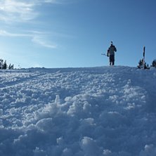 Foto: Martin Weinert.