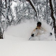 Sk&ouml;n puder&aring;kning i gummiskogen. Foto: Lisa Wallman. &Aring;kare: Daniel Chapuis.
