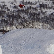 Sw 7 (dobbel nosemute?). Foto: Yngve Staberg. &Aring;kare: Anders Backe.