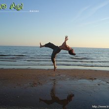 Gainer p&aring; tyl&ouml;sands strand.. Foto: Carlos Agi. &Aring;kare: Andr&eacute; Agi.