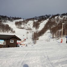 Str&aring;lende sol og v&aring;rsn&oslash; f&oslash;re.
.