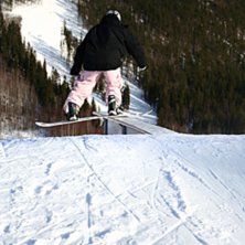 Mysa p&aring; en box. Foto: Sebastian Torn&eacute;us. &Aring;kare: Mariah Johansson.