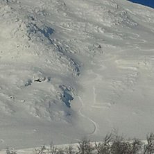 Foto: Peter &Aring;ngman.