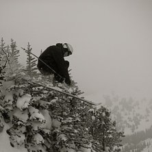 Emil skaver p&aring; tr&auml;dtopparna i den fantastiska sk. Foto: Louise Ryd&eacute;n. &Aring;kare: Emil Engman.