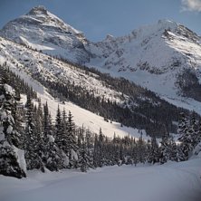 Foto: Jesper Peters&eacute;n. &Aring;kare: Tobias Andersson.