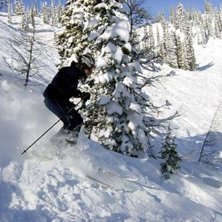 En h&auml;rlig puderdag i Whiter Water i BC Canada. Foto: Fredrik S&auml;llstr&ouml;m. &Aring;kare: Magnus Lageson.