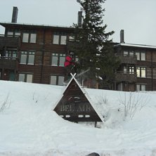 sign plant. Foto: Isak van helsing. &Aring;kare: Dennis Henriksson.