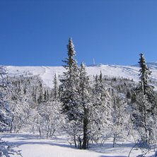 Vy upp mot toppen, fr&aring;n sp&aring;ret till gl&ouml;tevallen. Foto: Daniel Rapp.