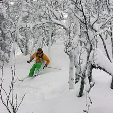 Foto: Anna Gustavsson. &Aring;kare: Andreas Gustavsson.