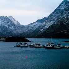 Foto: Christine Hargin.