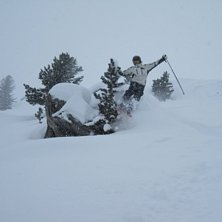 Foto: Johan Norrsell. &Aring;kare: David Palmertz.