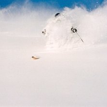 Under den mjuka ytan d&ouml;ljer sig faktiskt en gansk. Foto: Bj&ouml;rn Str&ouml;mblad. &Aring;kare: Martin Libeck.