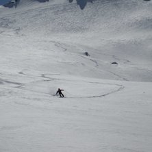 H&auml;rlig repa med endast mina sp&aring;r innan Kalles. G. Foto: Anders Pettersson. &Aring;kare: Kalle.