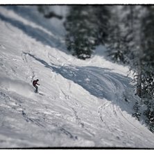 Foto: Jonas Johansson.