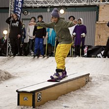 Winter Show i Kungstr&auml;dg&aring;rden 2014.. Foto: Hedda Berander.