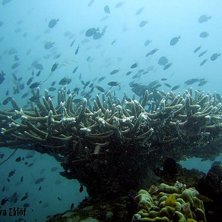 Foto: Lova Ekl&ouml;f.