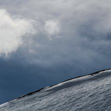 Foto: Adam S&auml;lg. &Aring;kare: Wille Lindberg.