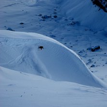 Ett fint kort av en fin sv&auml;ng p&aring; en fin dag.. Foto: David Rangsj&ouml;. &Aring;kare: Theodore Birkner.
