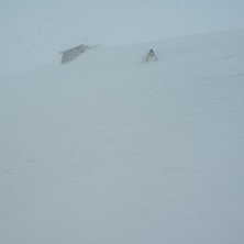 Foto: Erik Lindholm. &Aring;kare: Linda Persson.