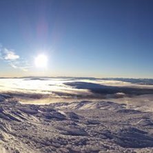 Foto: Martin &Aring;str&ouml;m.