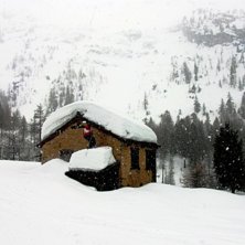 Nysn&ouml; i m&auml;ngder. Foto: Pontus Lindberg. &Aring;kare: Oskar Lindberg.