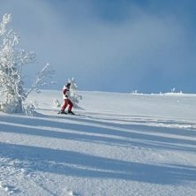 Foto: Patrik Schander. &Aring;kare: Malin Rosenkrantz.