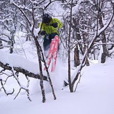 Foto: Daniel Forsberg. &Aring;kare: John johansson.