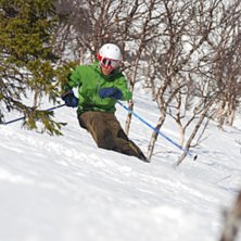 Skogen i Kittel. Foto: Erik Westberg. &Aring;kare: Rickard Ivarsson.