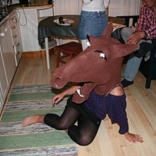 Foto: Jessica. &Aring;kare: Fylleh&auml;sten.