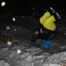 chilla misty 5 fr&aring;n lastpall p&aring; sn&ouml;kulle. Foto: potus melender. &Aring;kare: olle karlsson.