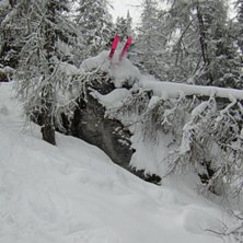 Foto: Joakim Friberg. &Aring;kare: Anders Hans&eacute;n.