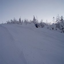 Foto: Tina M&ouml;ller. &Aring;kare: Micke Eriksson.