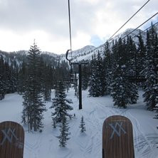 &Auml;ntligen p&aring; beget. Curo or Die !. Foto: Johan Fahlgren. &Aring;kare: Johan Fahlgren.