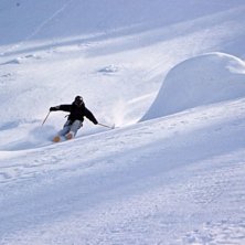 Foto: Alexander Dixner. &Aring;kare: Stefan Kits.
