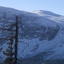 Foto: Patrik Brynielsson.