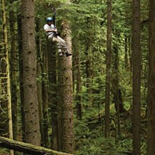 Foto: Sterling Lorence.