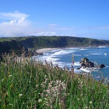 Favvost&auml;lle. Foto: Anna-Karin Olausson.