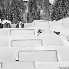 Foto: Felix N&auml;s. &Aring;kare: Elias Henderson.