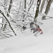 Ibland &auml;r det snorkeldjupt i de japanska skogarna. Foto: Alexander Thurban. &Aring;kare: David Clemensson.